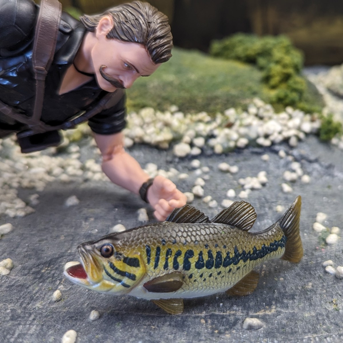 Largemouth Bass (کتاب ماهی آب شیرین 2، ویرایش دوم توسط یوجین) - وبلاگ بازی حیوانات